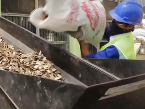 Peran Biomassa buat Tekan Emisi Dunia, Pasokan RI Melimpah