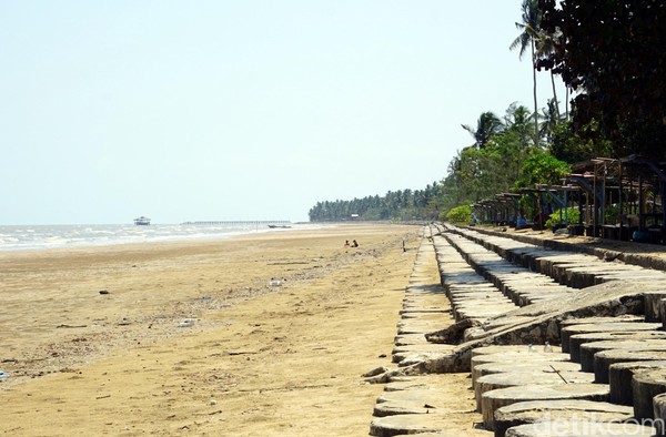 Pantai Tanjung Jumlai punya garis pantai yang panjang dan landai. Panjangnya lebh dari 1 kilometer. (Wahyu Setyo/detikcom) Pantai Tanjung Jumlai punya garis pantai yang panjang dan landai. Panjangnya lebh dari 1 kilometer. (Wahyu Setyo/detikcom)