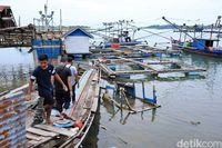 Penangkaran lobster milik ibu Wahyuni (Randy/detikcom)