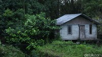 Potensi terjadinya bencana karena tinggal di wilayah yang rawan gempa membuat warga membangun rumah kayu.