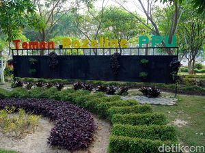 Kisah Cinta Abadi di Taman Bunga Rozelin