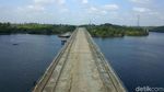 Indahnya Panorama Jembatan Pulau Balang Penajam