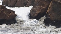 Kondisi anak Sungai Citarum sangat tercemar.
