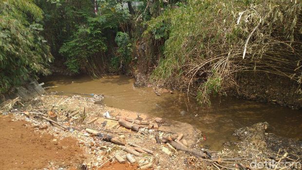 Dinas LH Bogor Bersihkan 305 Ton Sampah di Sungai Cipakancilan
