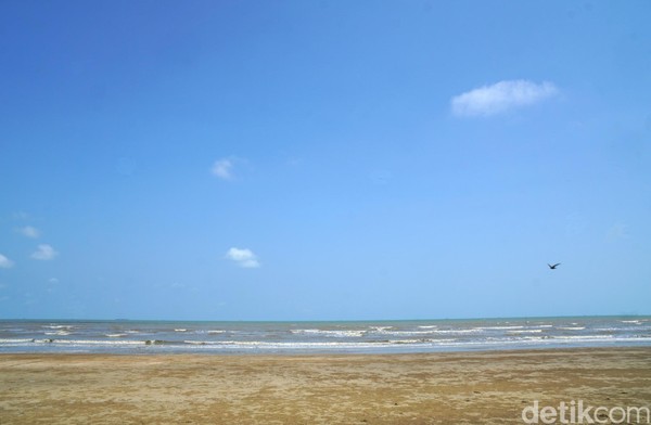 Saat laut sedang surut di siang hari, sejauh mata memandang hanya langit biru dan lautan lepas yang terlihat. Syahdu sekali. (Wahyu Setyo/detikcom) Saat laut sedang surut di siang hari, sejauh mata memandang hanya langit biru dan lautan lepas yang terlihat. Syahdu sekali. (Wahyu Setyo/detikcom)
