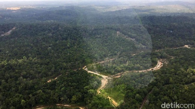 Rencana Pemerintah Tarik Kembali Lahan Konsesi dari Miliuner