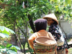 Pulang dari Pasar