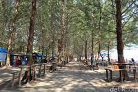 Pantai ini merupakan salah satu yang dikembangkan Pemkab (Randy/detikcom)