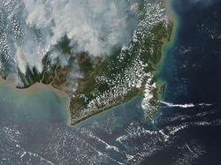 Foto Kebakaran Hutan Kalimantan dari Satelit NASA
