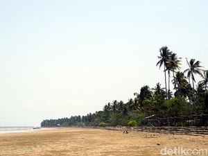 Foto: Pantai di Ibu Kota Baru, Seperti Milik Pribadi
