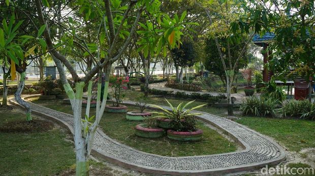 Kisah Cinta Abadi di Taman Bunga Rozelin