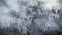 Selain di Taman Nasional Sebangau, Kebakaran hutan juga terjadi di kawasan Kahayan Hilir, Kalimantan Tengah. AP Photo/Fauzy Chaniago.