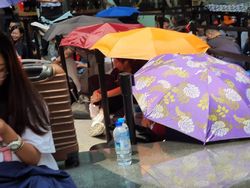 Panas Terik Tak Halangi Apple Fanboy Antre iPhone 11