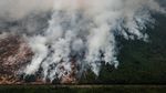 Potret Api Membara yang Hanguskan Hutan Kalimantan