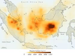 Foto Kebakaran Hutan Kalimantan dari Satelit NASA