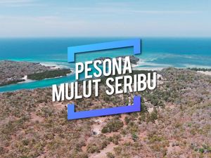 Kenalan Sama Mulut Seribu, Raja Ampat ala Pulau Rote