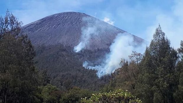Data Terbaru Kebakaran Semeru