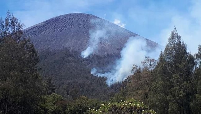 Hutan Gunung Semeru yang terbakar (tnbromotenggersemeru/Instagram) Hutan Gunung Semeru yang terbakar (tnbromotenggersemeru/Instagram)