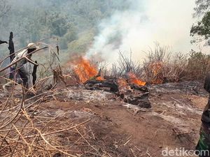 Kebakaran Gunung Slamet Belum Padam, Jumlah Relawan Pemadam Ditambah
