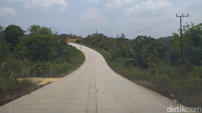 Rencana Pemerintah Tarik Kembali Lahan Konsesi dari Miliuner