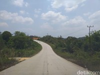 Rencana Pemerintah Tarik Kembali Lahan Konsesi dari Miliuner