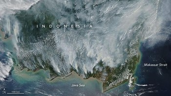 Foto-foto satelit NASA, dipajang di situs resmi NASA Earth Observatory. Tampak Pulau Kalimantan yang berselimut asap putih (dok NASA)