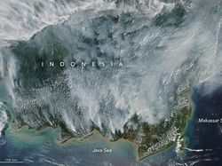 Foto Kebakaran Hutan Kalimantan dari Satelit NASA