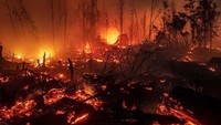 Api menghanguskan hutan di Taman Nasional Sebangau di Palangkaraya, pada 14 September lalu. Ulet Ifansasti/Getty Images.