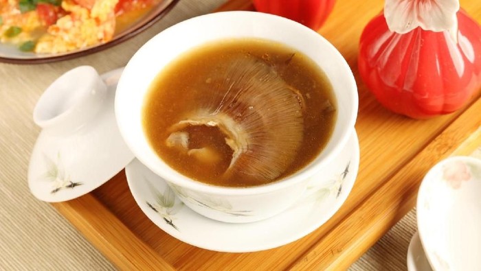 Sirip Ikan Hiu