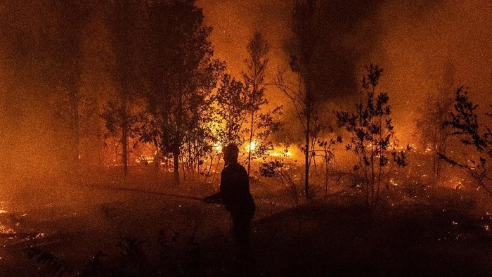 Kebakaran hutan di Kalimantan Tengah terus membara dan menimbulkan kabut asap. Begini suasananya saat api melahap hutan Indonesia.