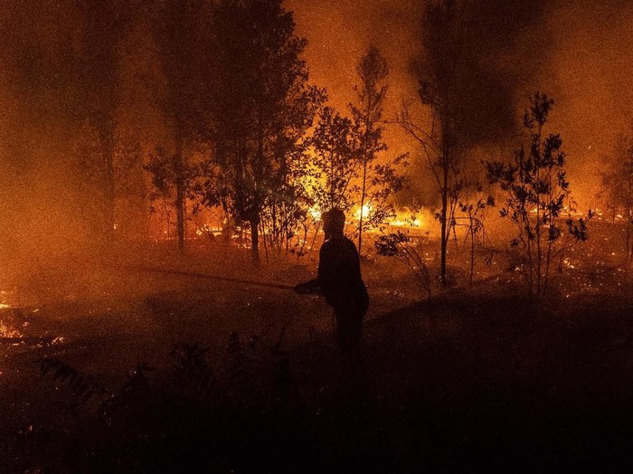 Kebakaran hutan di Kalimantan Tengah terus membara dan menimbulkan kabut asap. Begini suasananya saat api melahap hutan Indonesia.