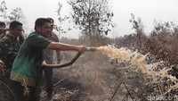 Tidak hanya itu, Herman Deru juga memberi waktu sepekan untuk perusahaan ikut pemadaman api. Jika tidak, ia pun mengancam akan mencabut izin perusahaan.