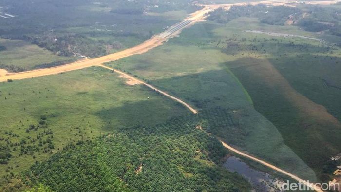 Lahan ibu kota baru di Kalimantan Timur//Foto: Eduardo Simorangkir Lahan ibu kota baru di Kalimantan Timur//Foto: Eduardo Simorangkir