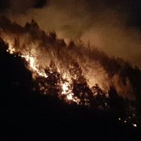 Gunung Semeru yang terbakar (tnbromotenggersemeru/Instagram)