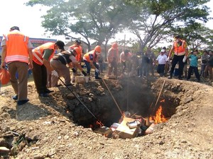 Komoditas Pertanian dan Bibit dari Luar Negeri Dimusnahkan