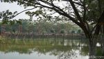 Foto: Taman Bunga Cantik di Jantung Ibu Kota Baru