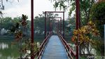 Foto: Taman Bunga Cantik di Jantung Ibu Kota Baru