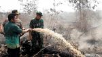 Gubernur hingga Kapolda Sumsel Tinjau Lokasi Karhutla