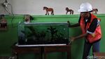 Siswa SMK Pasang Penyaring untuk Antisipasi Polusi Udara