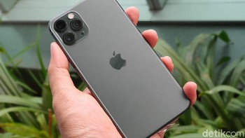 iPhone 11 Pro Max yang didaulat jadi kamera video terbaik. Foto: Adi Fida Rahman/detikINET