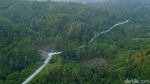 Penampakan Hutan Penajam yang Bakal Jadi Ibu Kota Baru
