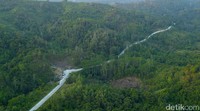 Lokasi Istana Negara dan kantor pemerintah pusat juga rencananya dibangun di PPU, namun belum diketahui di mana lokasi persisnya bangunan itu berdiri.