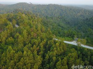 Inventarisasi Lahan Ibu Kota Baru Sudah Rampung 100%