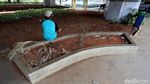 Pemkot Bekasi Bisa Bangun Taman, Tapi Kok Nggak Dirawat?