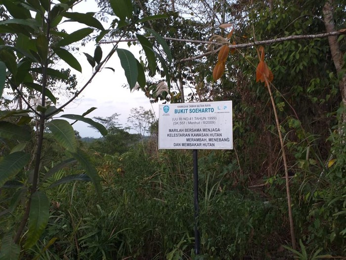 Bukit Soeharto