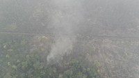 Asap akibat kebakaran hutan masih mengepul.