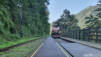 Kamera Galaxy Note 10+ juga memiliki fitur sensor ToF (time of flight) atau disebut DepthVision VGA yang mendukung beberapa fitur, seperti efek bokeh ini. Foto: Widiya Wiyanti/detikINET