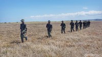 Setelah dari pantai, mereka siap menjelajahi padang savana di Pulau Ndana (Afif Farhan/detikcom)