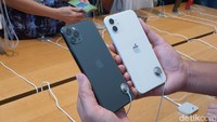 iPhone 11/11 Pro/11 Pro Max terjual 159 juta unit (Foto: Adi Fida Rahman/detikINET)