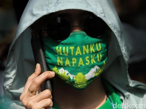 Muncul 286 Titik Panas di Sumatera, Terbanyak di Lampung